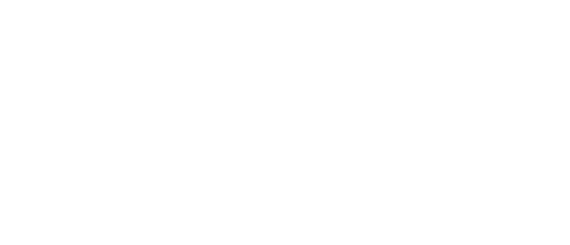 RAWRR Logo