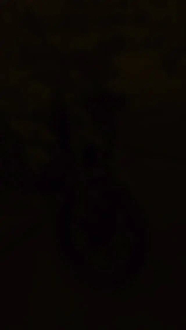 Beast mode unlocked - Converting a BMW G310R into a rugged all-terrain motorcycle #bmwmotorrad #makelifearide #g310r😍 #g310gs